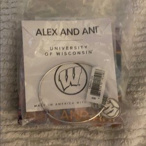 Alex & Ani Wisconsin bracelet